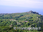 L'isola d'Ischia nella puntata di Linea Verde 3