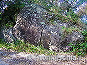 Il bosco di Zaro 0