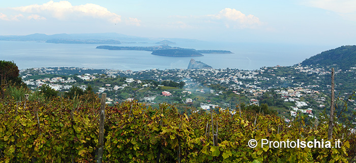 Consigli per una vacanza diversa sull'isola d'Ischia.