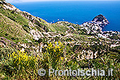 Ischia, il giro dell'isola lungo l'anello stradale 0