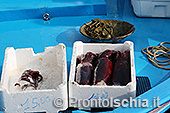 I pescatori di Ischia Ponte 5