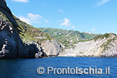 Il giro dell'isola d'Ischia via mare 59