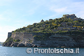 Il giro dell'isola d'Ischia via mare 98