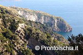 Camminare a Ischia nella natura 3