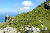 Camminare a Ischia nella natura 6