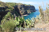 Ventotene, alla scoperta di un'isola 10