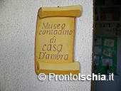 Il Museo del Contadino 5