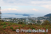 Ischia, Andar per sentieri 6