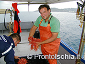 Pescaturismo a Ischia 66