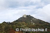 Escursioni a Ischia: dal Bosco della Maddalena a Sant'Angelo 42